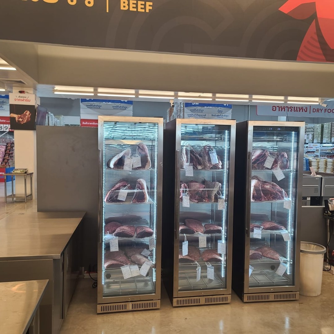 New Commercial Large Restaurants Beef Steak Hanging Meat Dri Dry Aged Fridge Display 304 Stainless Steel Smart Dry